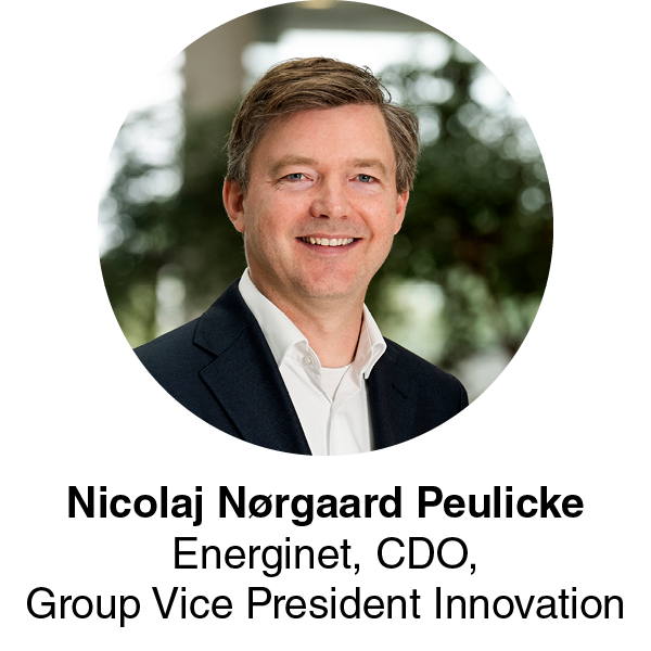 Nicolaj Nørgaard Peulicke, Energinet